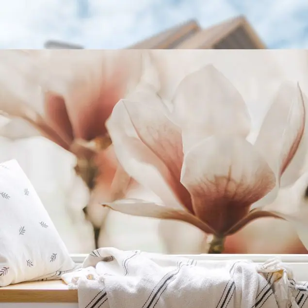 Zertifiziert Zarte Magnolienblüten im Lichtspiel