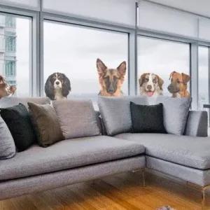 5 Freunde Saisonangebot