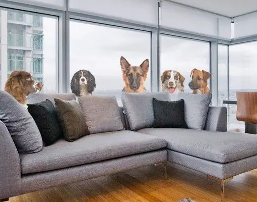 5 Freunde Saisonangebot