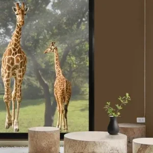 Zwei Giraffen Kracherpreis