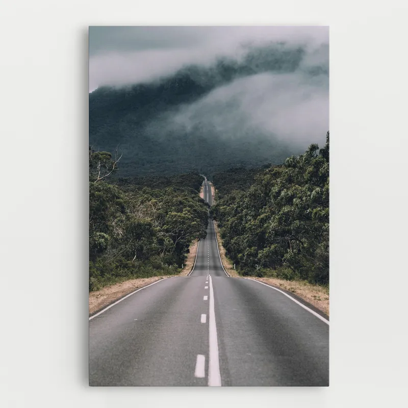 Leinwandbild Forest Driving Road Zertifiziert