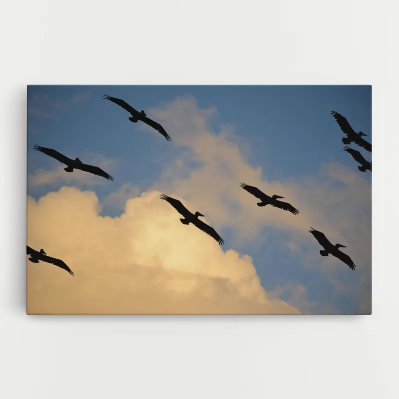 Leinwandbild Bird Shilouette Cloud Markenprodukt