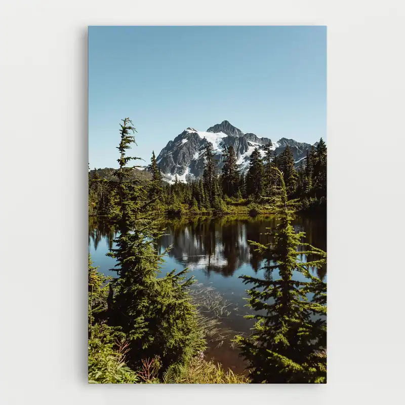 Neu Im Sortiment Leinwandbild Forest Snow Mountain