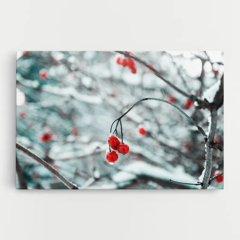 Leinwandbild Snow Red Fruits Kostenfreie Lieferung