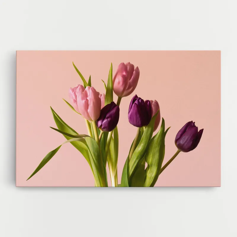 Expressversand Leinwandbild Pink Dark Purple Tulips