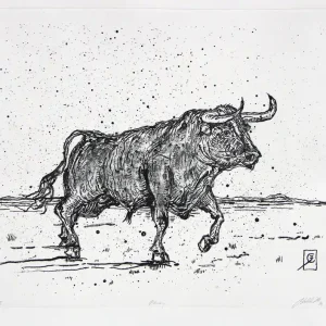 C. Blechschmidt: "Ramon", Originale Grafik/Lithographie Geprüft