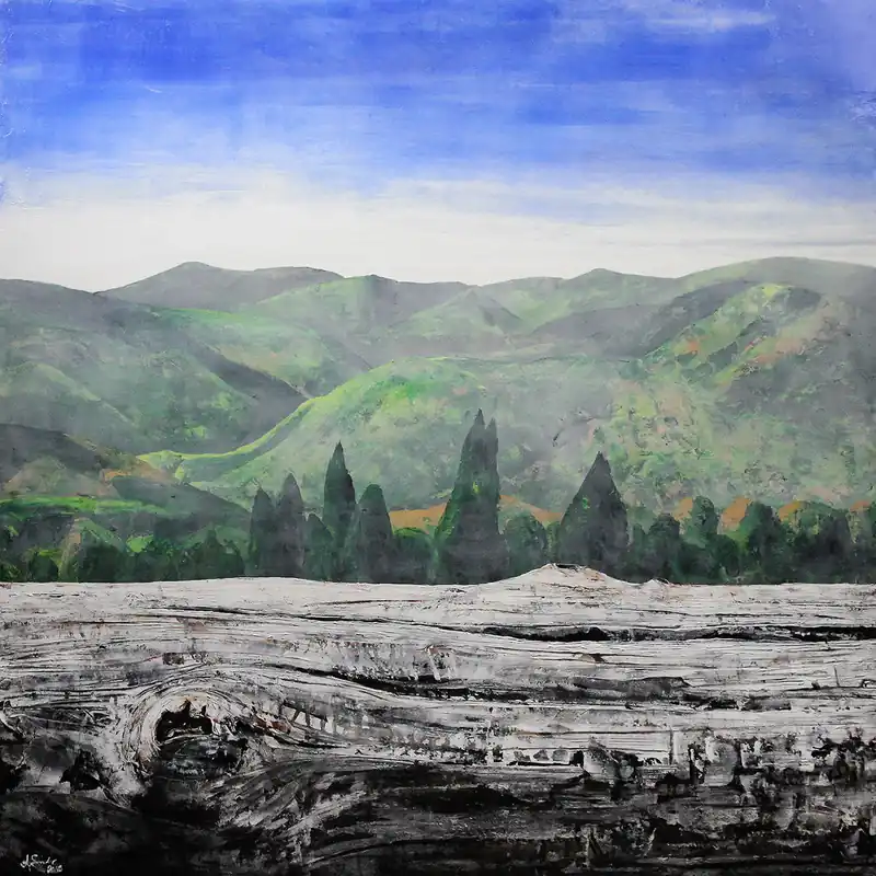 A. Garbe: "Holz vs. Landschaft: Schwarzwald 2018", Edition, signierter Kunstdruck auf Leinwand Meistverkauft