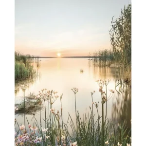 Top-Angebot Sommermorgen Poster