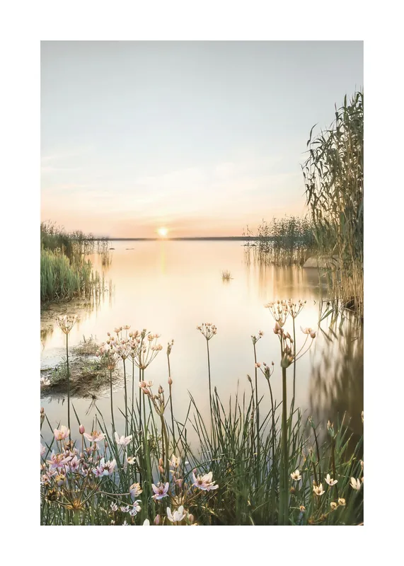Top-Angebot Sommermorgen Poster