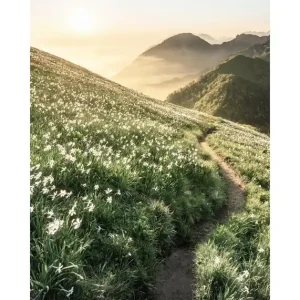 Gratis Versand Weg im Sonnenuntergang Poster