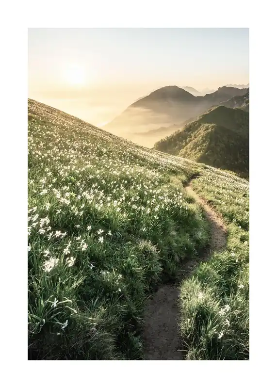 Gratis Versand Weg im Sonnenuntergang Poster