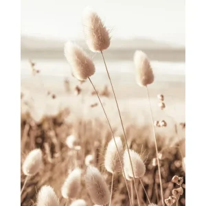 Strand Gras Poster Abverkauf
