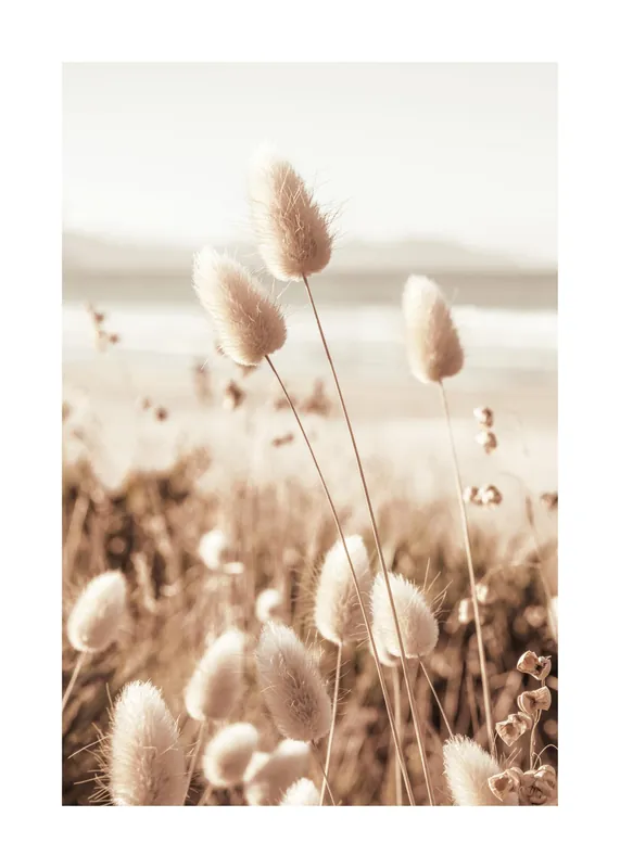 Strand Gras Poster Abverkauf