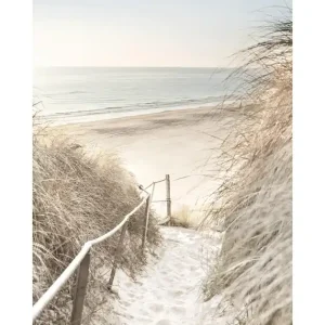 Weg zum Strand Poster Highlight