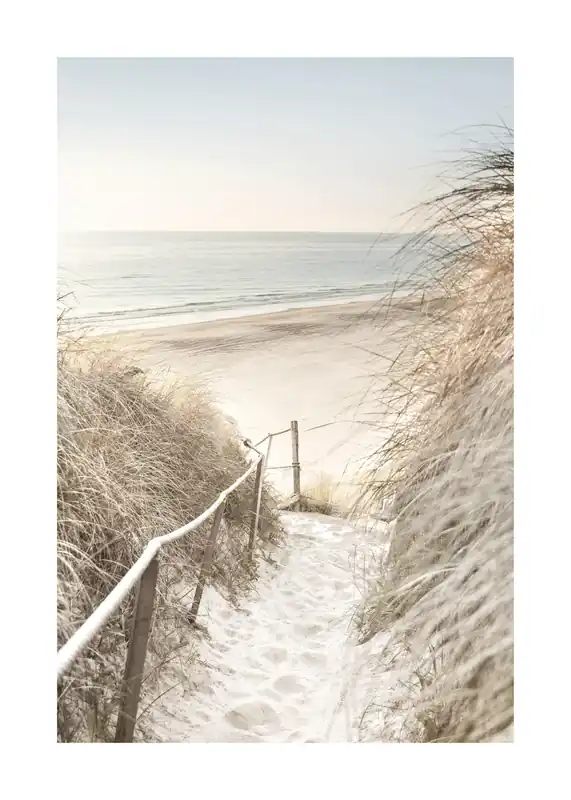 Weg zum Strand Poster Highlight