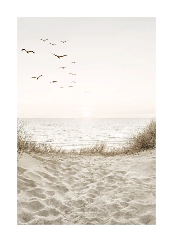 Kracherpreis Vögel am Strand Poster