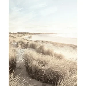 Expressversand Stranddüne Poster