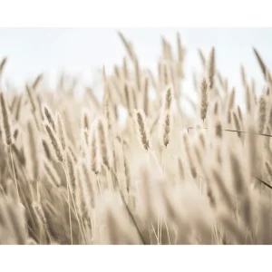 Wochenendangebot Gras am Ufer Poster