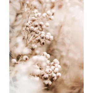 Zarte Blumen Poster Finale Aktion