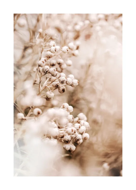 Zarte Blumen Poster Finale Aktion
