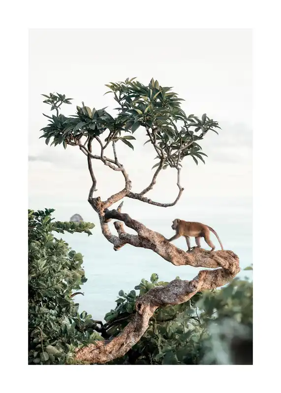 Affe im Baum Poster Online Kaufen