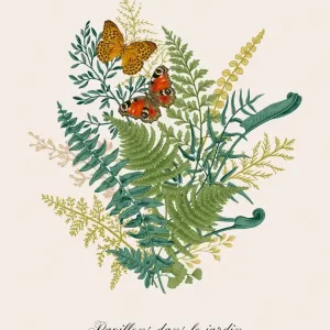Günstig Schmetterlinge im Garten Poster