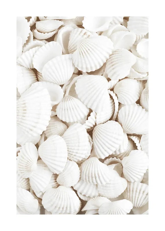 Zertifiziert Weiße Muscheln Poster