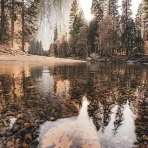 Yosemite Herbst Poster Sonderangebot