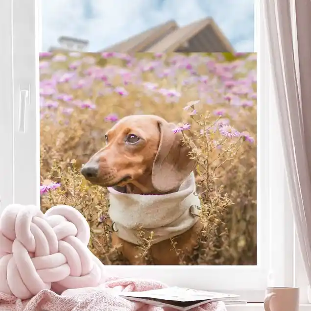 Fensterbild selbst gestalten Fensterfolie Direkt Vom Hersteller