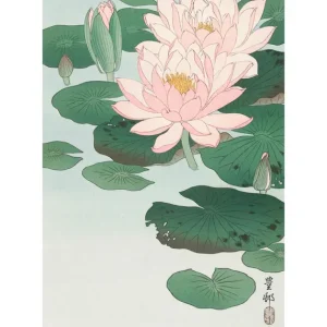 Zertifiziert Ohara Koson - Seerose Poster
