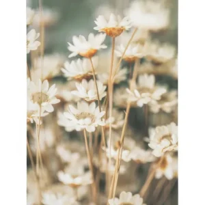 Aktuell Sommerblumen Leinwand