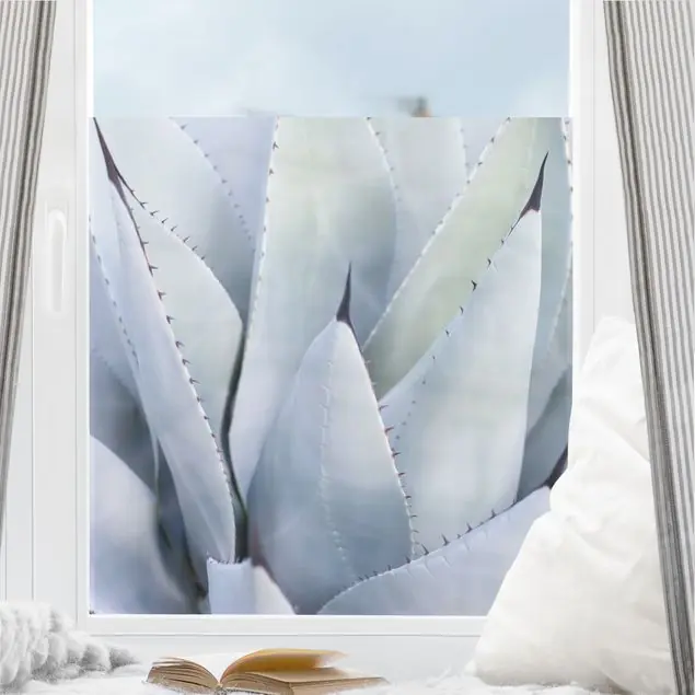 Preisknaller Agavenblätter Fensterfolie