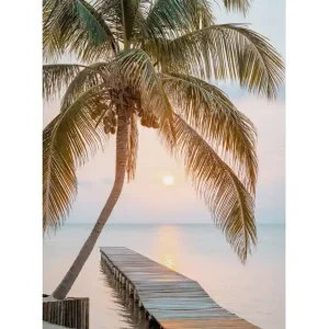 Abverkauf Tropical Jetty Leinwandbild