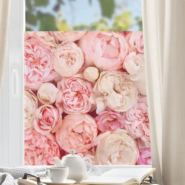 Rosen Rosé Koralle Shabby Fensterfolie Begrenztes Angebot