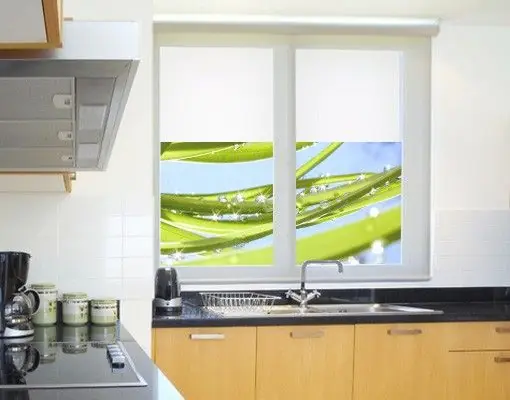 Garantierte Lieferung Fresh Green Fensterfolie