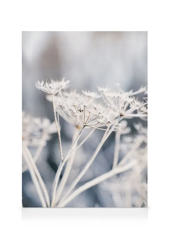 Zertifiziert Frozen Flower Leinwandbild
