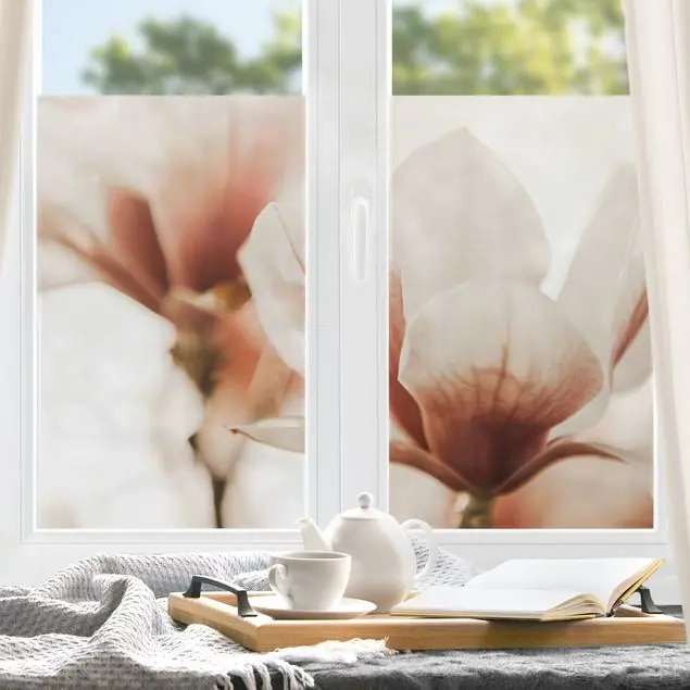 Bestpreis Zarte Magnolienblüten im Lichtspiel Fensterfolie