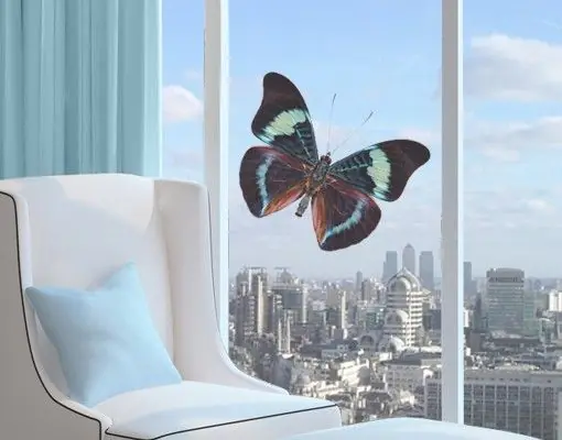 Lepidoptera Fensteraufkleber Solange Der Vorrat Reicht