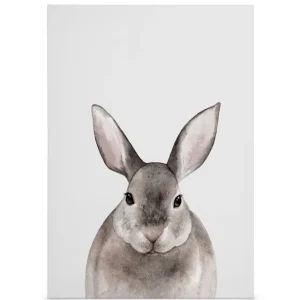 Aktuell Kleiner Hase Leinwandbild