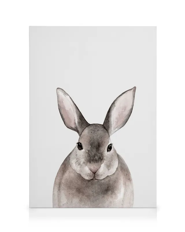 Aktuell Kleiner Hase Leinwandbild