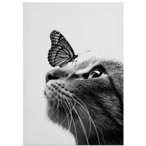 Wochenendangebot Schmetterlings-Katze Leinwandbild