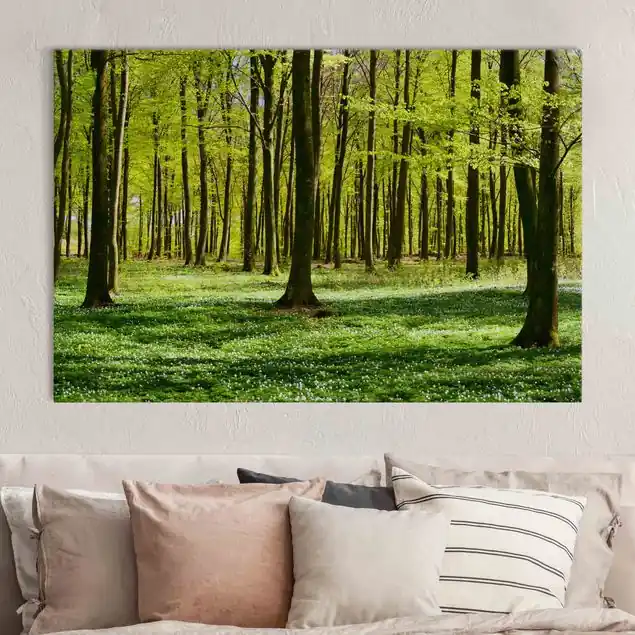 Waldwiese Akustikbild • 4 cm Massivholz-Keilrahmen • effektiver Akustikabsorberkern • für angenehme Raumakustik • gefertigt in Deutschland Ausverkauf