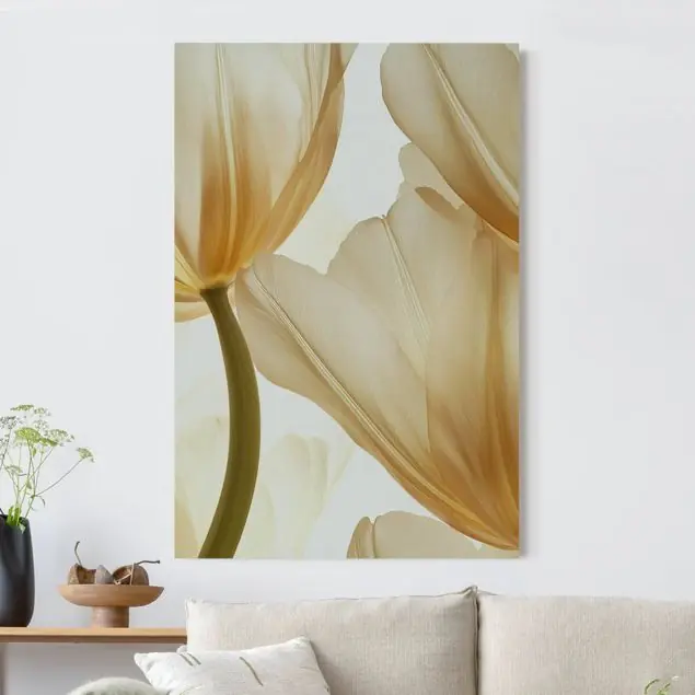 Zarte Tulpenblüten Creme Akustikbild • 4 cm Massivholz-Keilrahmen • effektiver Akustikabsorberkern • für angenehme Raumakustik • gefertigt in Deutschland Online Kaufen