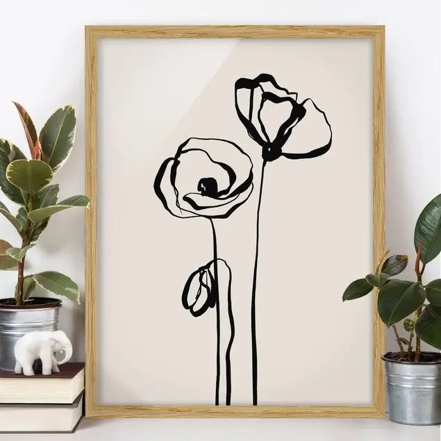 Mohn Illustration I Bild mit Rahmen in Manufakturqualität • Eiche naturbelassen • inkl. Rahmung von Hand • Made in Germany Kostenloser Rückversand