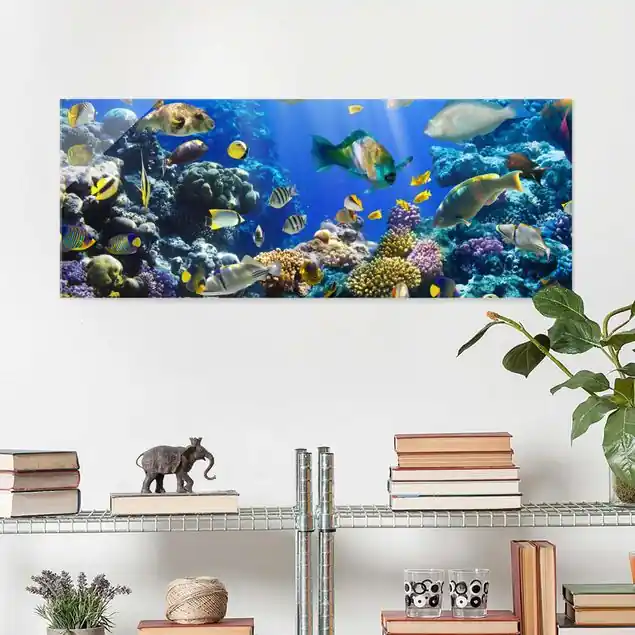 Zertifiziert Underwater Reef Glasbild - Panorama
