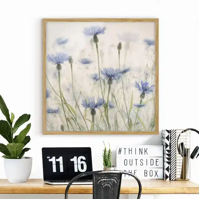 Kornblumen und Gräser im Feld Bild mit Rahmen in Manufakturqualität • Eiche naturbelassen • inkl. Rahmung von Hand • Made in Germany Solange Der Vorrat Reicht