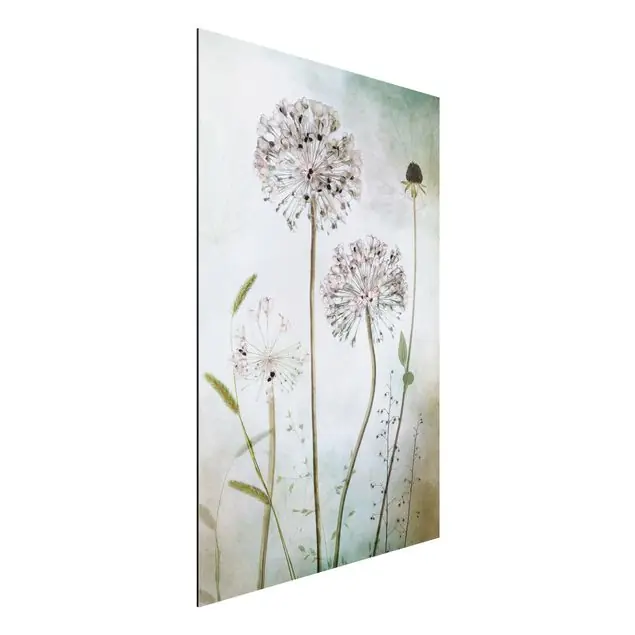 Lauchblüten in Pastell Alu-Dibond Outdoor Bild Saisonangebot