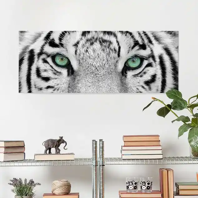 Weißer Tiger Glasbild - Panorama Schneller Versand