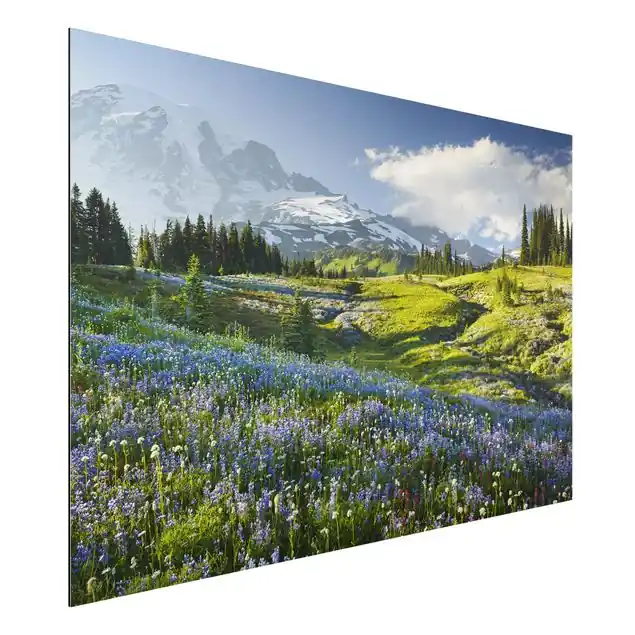 Knallerangebot Bergwiese mit blauen Blumen vor Mt. Rainier Alu-Dibond Outdoor Bild