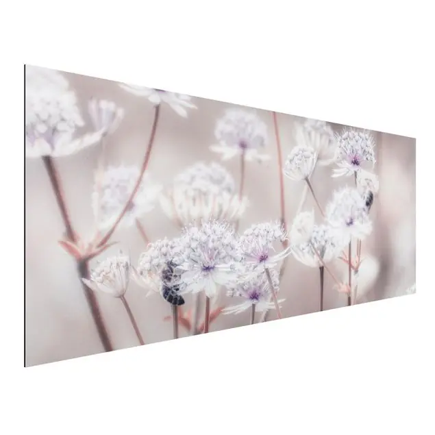 Nur Für Kurze Zeit Federleichte Wildblumen Alu-Dibond Outdoor Bild
